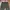 Cargo vintage pants brand eddie bauer photo 3