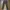Cargo vintage pants brand eddie bauer photo 1
