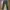 Cargo Vintage Pants Brand Eddie Bauer