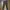 Cargo vintage pants brand eddie bauer photo 2