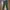 Cargo Vintage Pants Brand Eddie Bauer