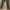 Cargo vintage pants brand eddie bauer photo 4