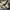 Clarks Casual Sneakers Pria tan photo 1