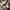 Clarks Casual Sneakers Pria Tan