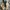 Clarks Casual Sneakers Pria tan photo 5