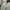 Cargo vintage pants brand saint luke  photo 5