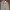 Cargo vintage pants brand photo 2