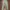 Cargo vintage pants brand photo 4