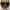 Dickies Martin Boots photo 7
