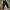 Cargo vintage pants  photo 4