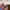 TULA Free To Grow Baby Carrier Discover photo 7