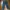 Cargo vintage pants photo 1
