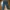 Cargo Vintage Pants