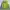 GAP Casual Bomber jacket Pria green navy photo 3