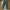 Cargo vintage pants photo 4