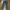 Cargo vintage pants photo 1