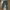 Cargo Vintage Pants