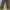 Cargo vintage pants photo 3