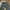 Cargo vintage pants photo 2