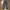 Cargo Vintage Pants