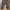 Cargo vintage pants photo 3