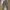 Cargo vintage pants photo 4