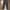 Cargo vintage pants  photo 1