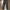 Cargo Vintage Pants 