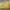 Casual Bomber jacket Wanita yellow photo 3