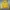 Casual Bomber jacket Wanita yellow photo 5