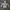 Champion Vintage Streetwear Hoody Pria white photo 1