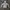 Champion Vintage Streetwear Hoody Pria White