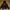 Devilock Knight Hoodie devilock High Standard Nunchuk Size X photo 3