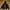 Devilock Knight Hoodie devilock High Standard Nunchuk Size X photo 1