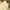 Chino Stussy cream photo 1