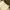 Chino Stussy cream photo 2