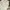 Cargo pants polo ralph lauren photo 6