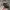 New Era Sportswear Casual Hat Pria black gray photo 4
