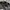 New Era Sportswear Casual Hat Pria black gray photo 7