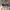 New Era Sportswear Casual Hat Pria black gray photo 3