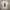 Polo Ralph Lauren Casual T-shirt Pria white photo 2