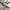Billabong Casual T-shirt Pria white photo 4