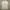 Billabong Casual T-shirt Pria white photo 2
