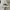 Nike Streetwear Sportswear T-shirt Pria white photo 3
