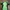 JERSEY ADIDAS CLIMALITE photo 1