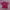 Ana Alcazar Casual T-shirt Pria black red photo 1