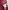 SS2020 Dior D Uniform Necktie Bow Rich Red Blouse photo 7