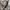 WHO.A.U Streetwear Casual Casual shirt Pria tan photo 4