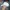 Outdoor Research Gorpcore Sportswear Hat Pria white blue photo 3
