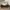 The North Face Gorpcore Pria cream photo 1